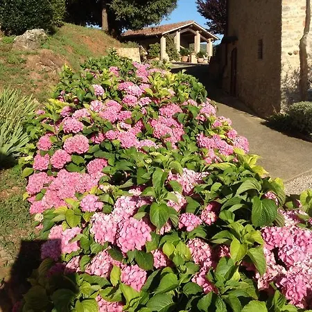 Apartment Podere Scopeto Casole d'Elsa
