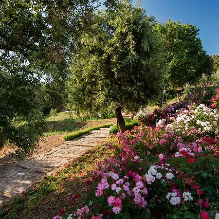 Apartment Podere Scopeto