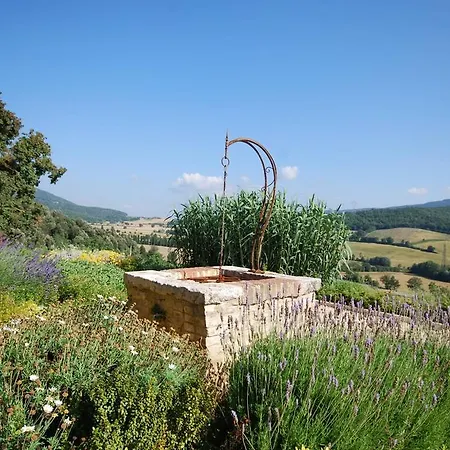 Podere Scopeto Casole d'Elsa