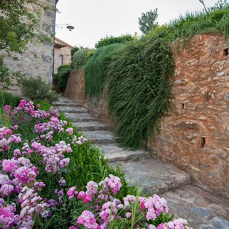 Apartment Podere Scopeto Casole d'Elsa