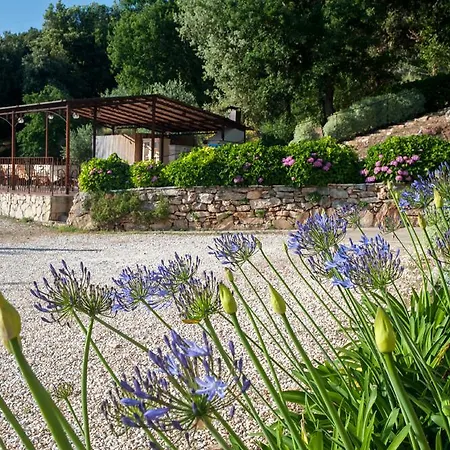 Appartement Podere Scopeto Casole dʼElsa